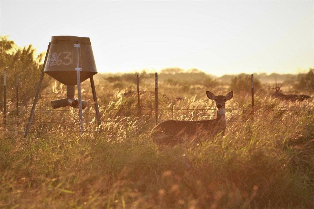 Early Deer Hunting Season