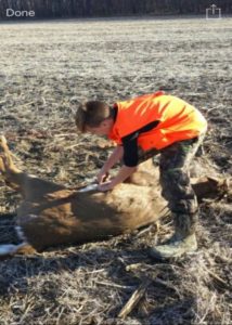 Gutting a Whitetail Deer