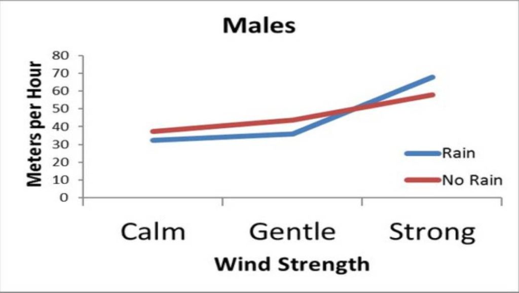 Wind and Rain Effects on Deer Movement