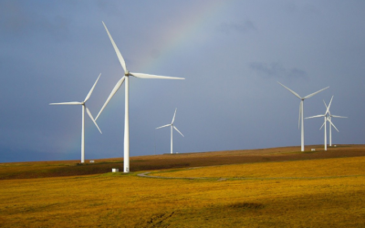 How Wind Affects Deer Movement (How to Hunt Windy Days)