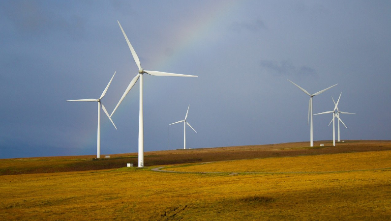 How Wind Affects Deer Movement (How to Hunt Windy Days)