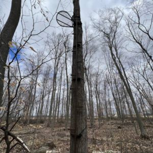 Fixed Archery Tree Stand