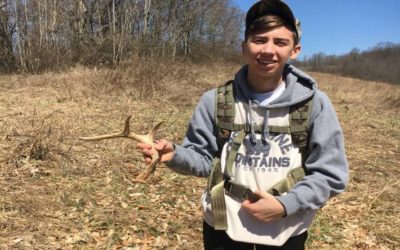 Everything about Shed Antlers You Need to Know