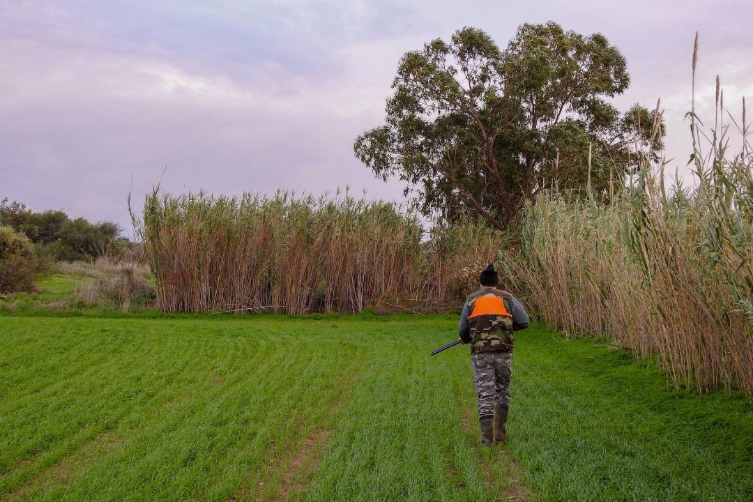 Early Deer Hunting Season Entry and Exits