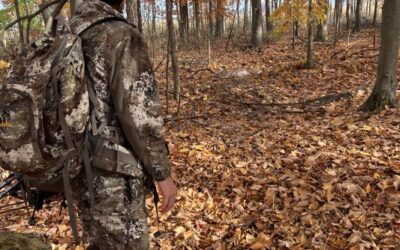 11 Best Cover Scents for Whitetail Deer Hunting