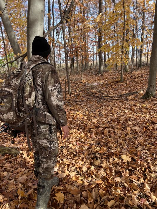 11 Best Cover Scents for Whitetail Deer Hunting