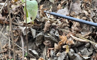 13 Best Broadheads for Deer Hunting (Easy Tracking)