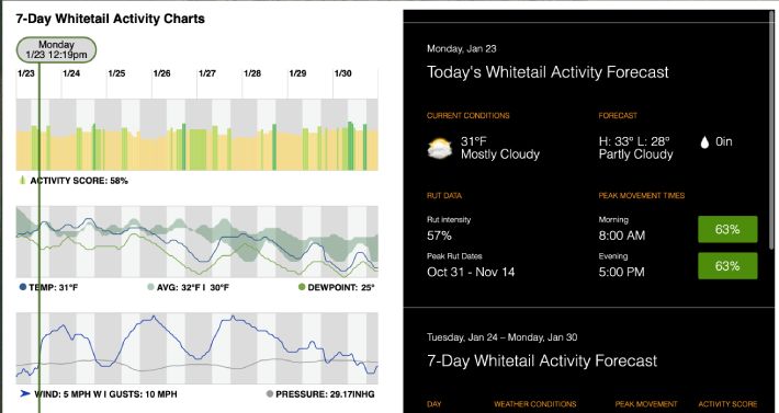 Huntstand Whitetail Activity